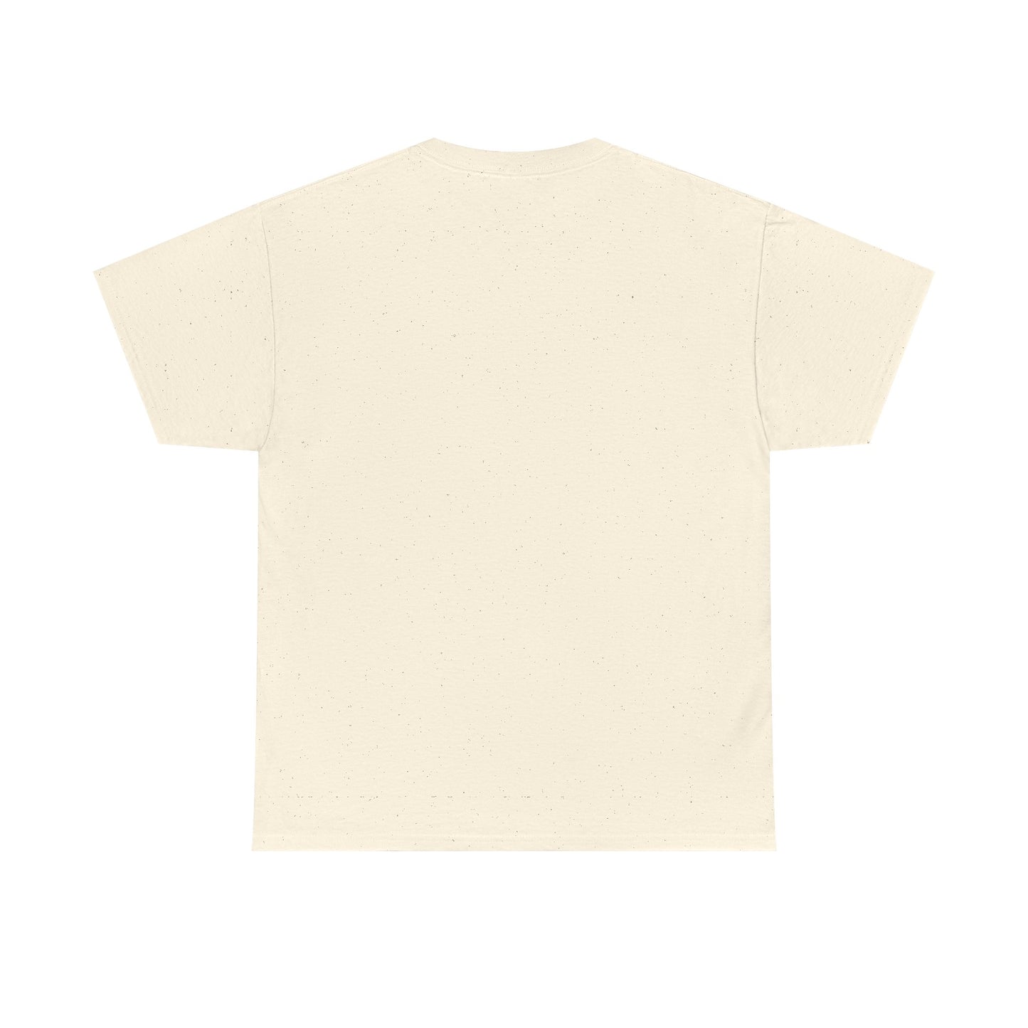 Ain't No Ghost Heavy Cotton Tee