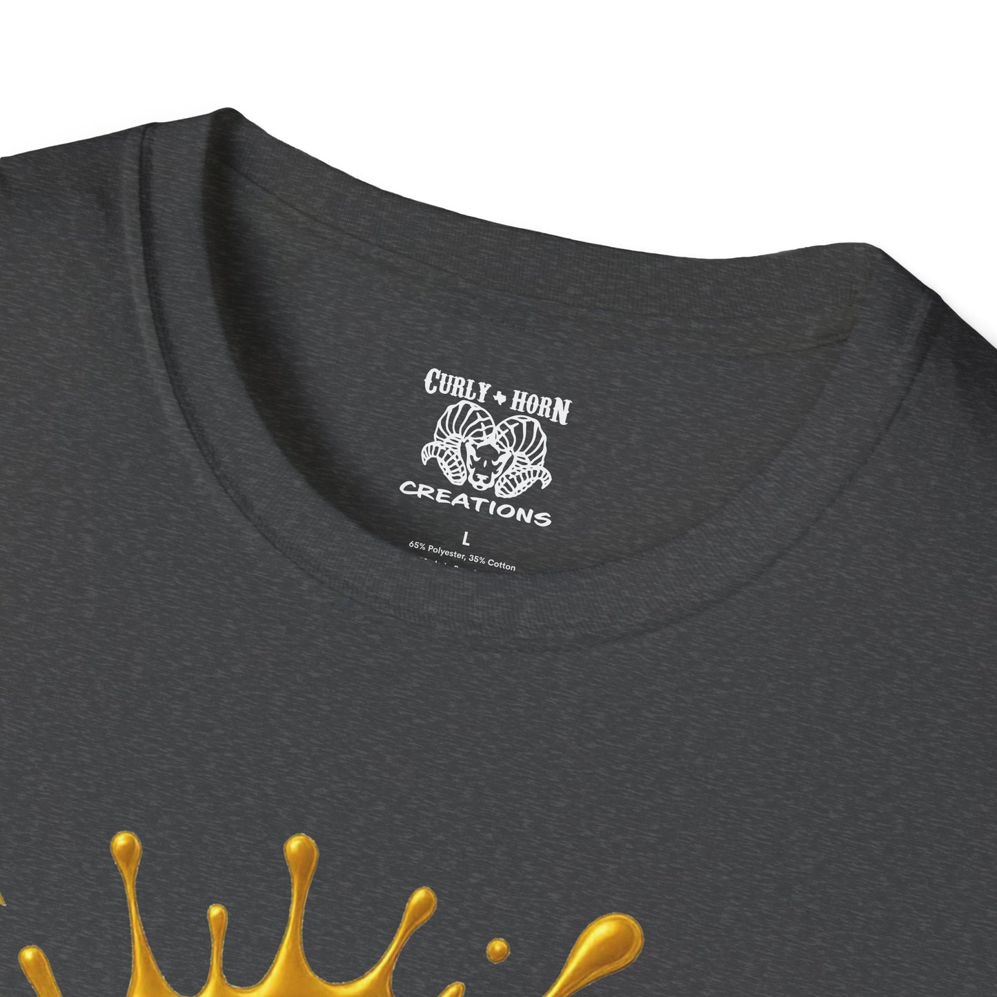 Pittsburgh Steelers Unisex Softstyle T-Shirt, NFL Tee, Game Day Apparel, Sports Fan Shirt, Football Gift, Casual Wear