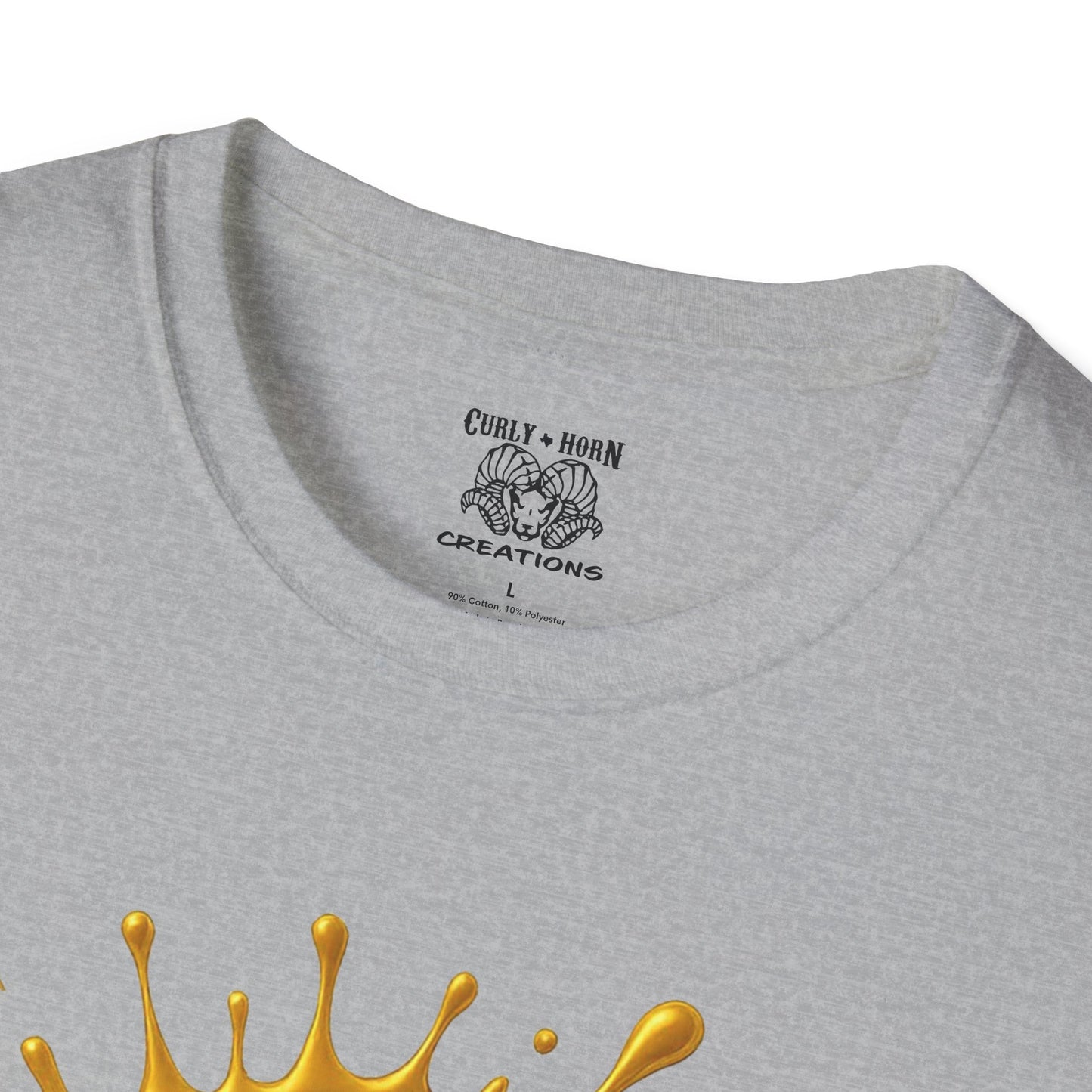 Pittsburgh Steelers Unisex Softstyle T-Shirt, NFL Tee, Game Day Apparel, Sports Fan Shirt, Football Gift, Casual Wear
