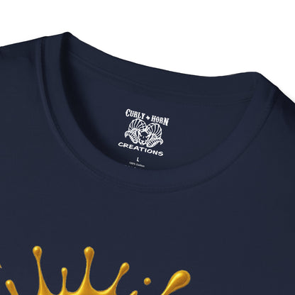 Pittsburgh Steelers Unisex Softstyle T-Shirt, NFL Tee, Game Day Apparel, Sports Fan Shirt, Football Gift, Casual Wear