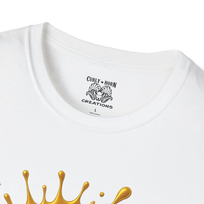 Pittsburgh Steelers Unisex Softstyle T-Shirt, NFL Tee, Game Day Apparel, Sports Fan Shirt, Football Gift, Casual Wear