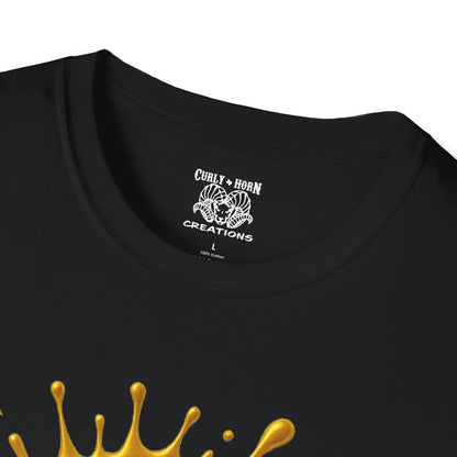 Pittsburgh Steelers Unisex Softstyle T-Shirt, NFL Tee, Game Day Apparel, Sports Fan Shirt, Football Gift, Casual Wear